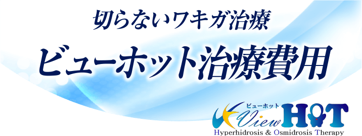 切らないワキガ治療　ビューホット治療費用